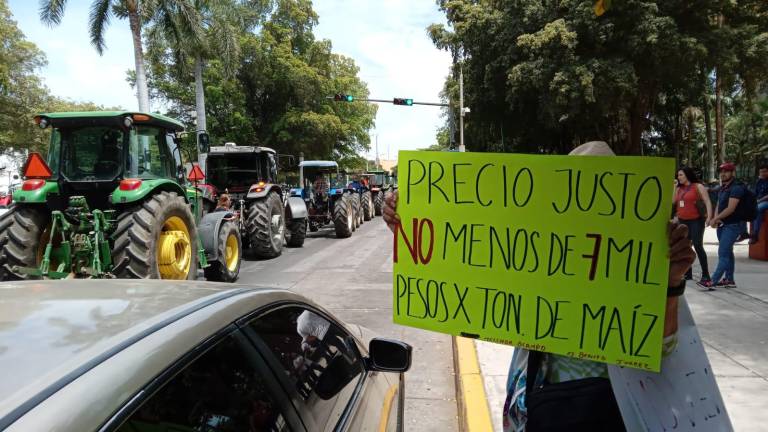 Productores exigen precios por tonelada de maíz de no menos 7 mil pesos, y en el tema del trigo de no menos de 8 mil pesos.