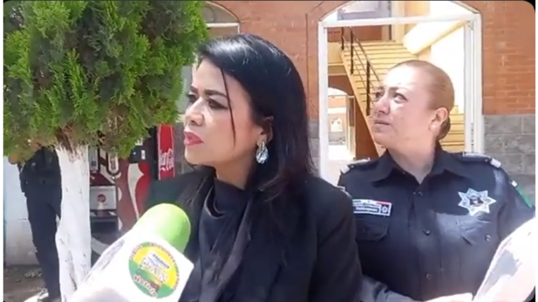 Gobierno de Guerrero sugiere a alcaldesa de Chilpancingo separarse del cargo