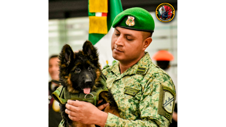 El Cabo policía militar Carlos Villeda Márquez, quien fue manejador del perrito Proteo, será el nuevo manejador del cachorro de tres meses que fue donado por el Gobierno de Turquía.