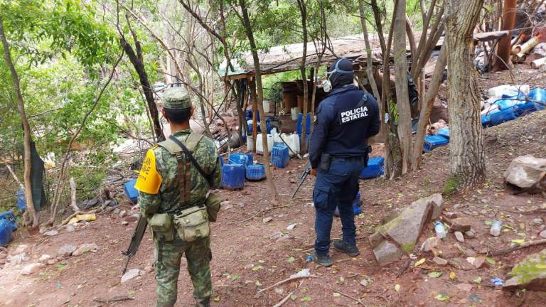Sedena y Policía Estatal aseguran un laboratorio de droga en Cosalá