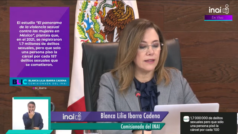 La Comisionada Blanca Lilia Ibarra Cadena presentó el caso ante el pleno del INAI.