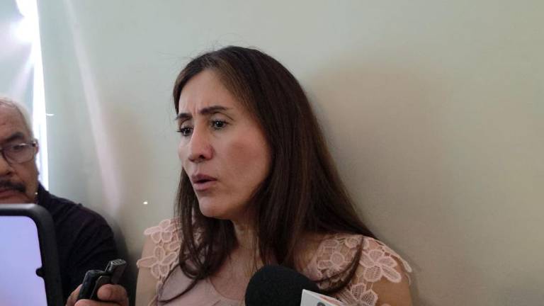 El sector empresarial continúa sin recibir los apoyos solicitados al Gobierno, señaló Verónica Yudith Estrada Osuna.