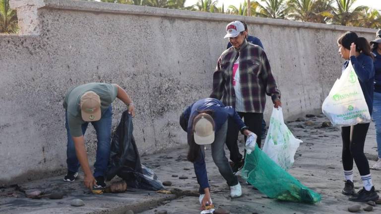 Jornada de limpieza en Playa Ceuta.