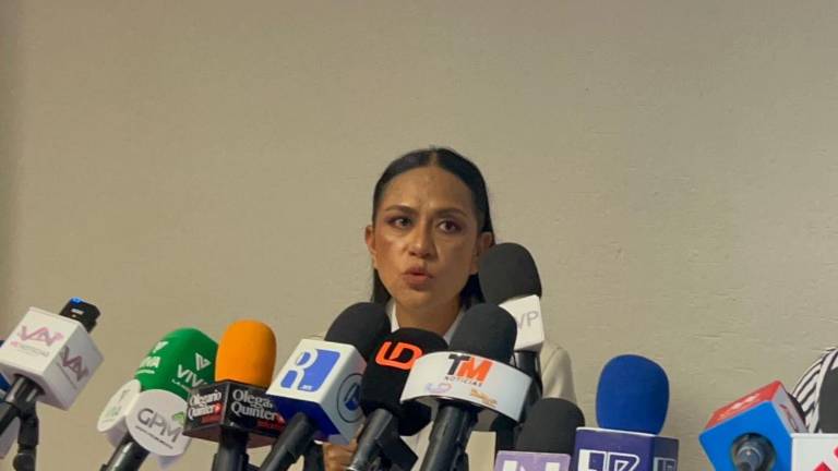Montiel Reyes aclaró que Morena, como partido, no realizó directamente la solicitud a la Guardia Nacional.