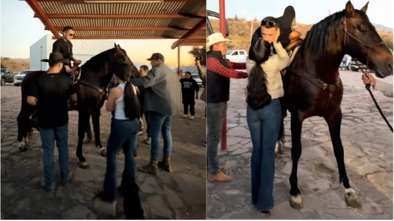 Ángela Aguilar sorprende a Nodal con su primer caballo.