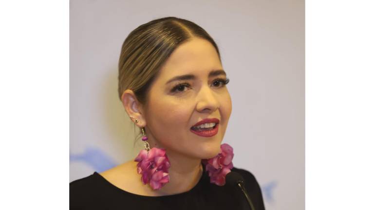 La Alcaldesa de Mazatlán Estrella Palacios Domínguez afirmó que cuatro negocios ubicados a la orilla del Malecón fueron retirados por estar irregulares.