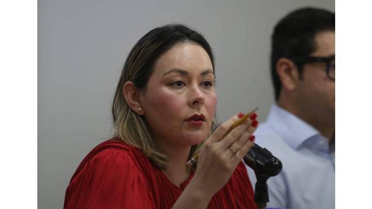 La Gobernadora interina de Sinaloa, Yeraldine Bonilla, dijo que el Gobernador con licencia Rubén Rocha Moya no ha solicitado reforzar su seguridad.
