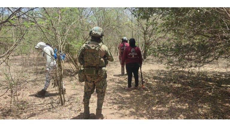 El fin de semana al sur de Mazatlán encontraron restos humanos femeninos.