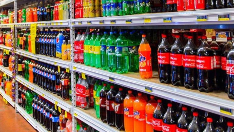 Se sancionaría con más de 226 mil pesos a quienes incumplan con esta disposición.