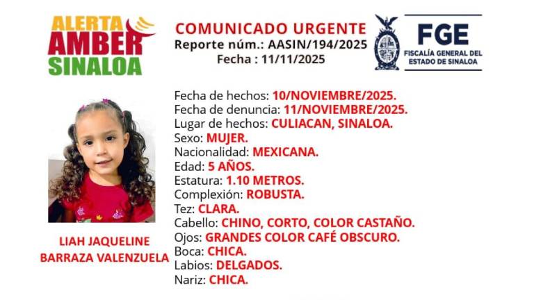 Liah Jaqueline fue vista por última vez el pasado 10 de noviembre en la colonia Gustavo Díaz Ordaz