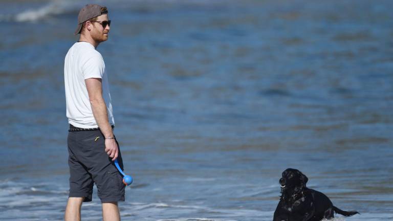 El Príncipe Harry con su perro Pula.
