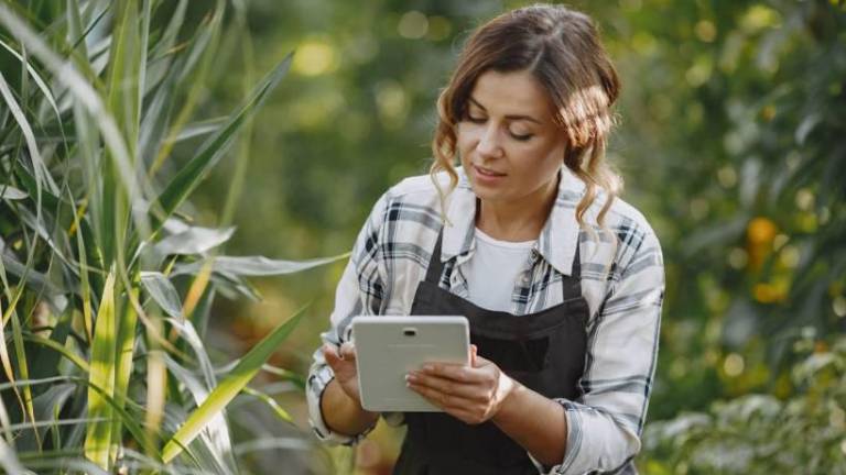 Ingeniería Agropecuaria: habilidades que necesita el agro moderno