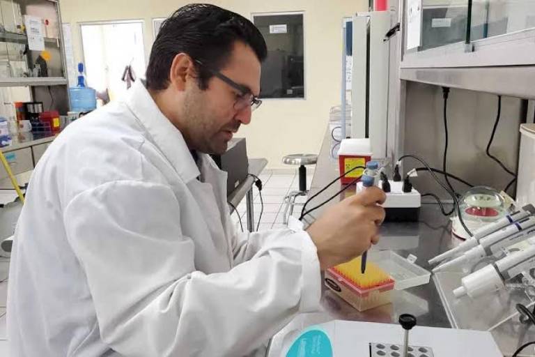 La UAS se consolida como referente científico en Sinaloa, con crecimiento del 24% en el Sistema Nacional de Investigadoras e Investigadores (SNII)