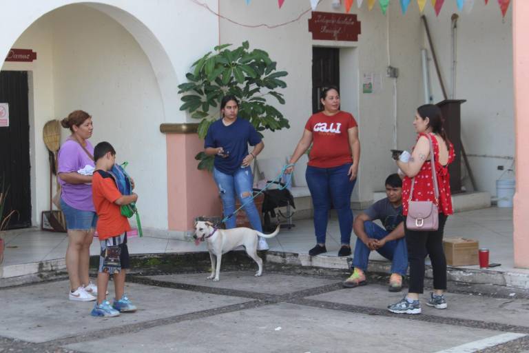 Crece abandono de mascotas en Rosario, informan activistas