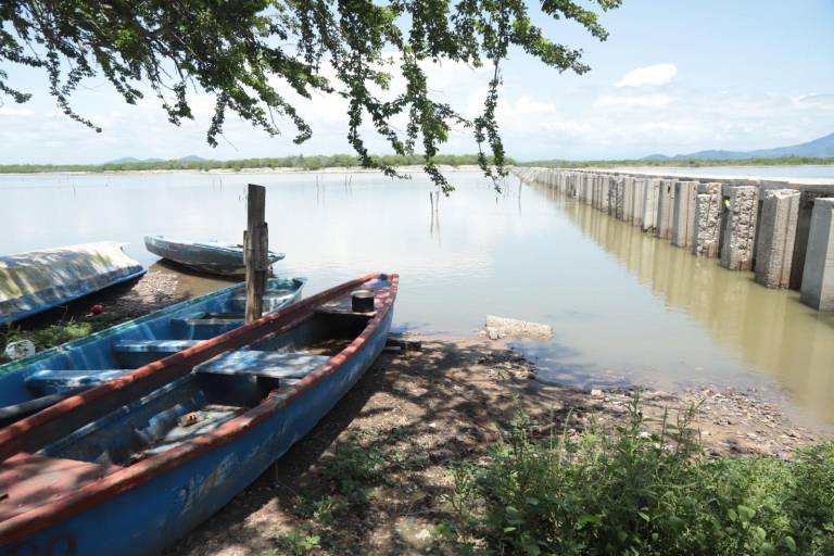 Temporada de camarón está muerta antes de iniciar: pescadores ribereños