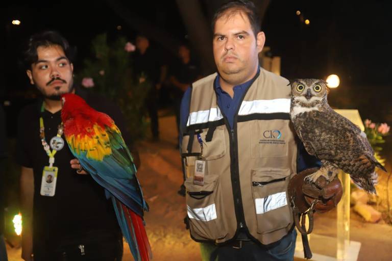 Recauda el Gran Acuario Mazatlán fondos por la fauna silvestre