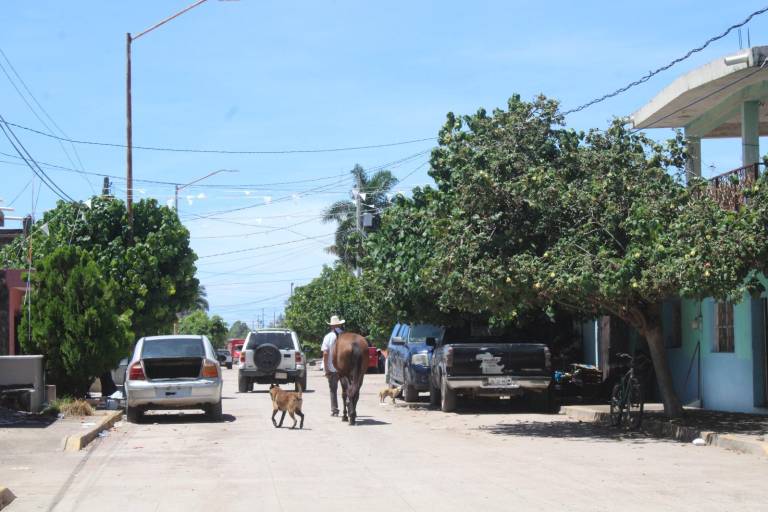 Líderes pesqueros en Rosario afirman que al no haber capturas, ya sufren la crisis