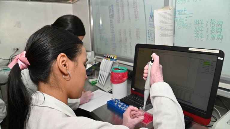 Transformación de los programas y planes de estudio incidirá en la formación de calidad de los estudiantes