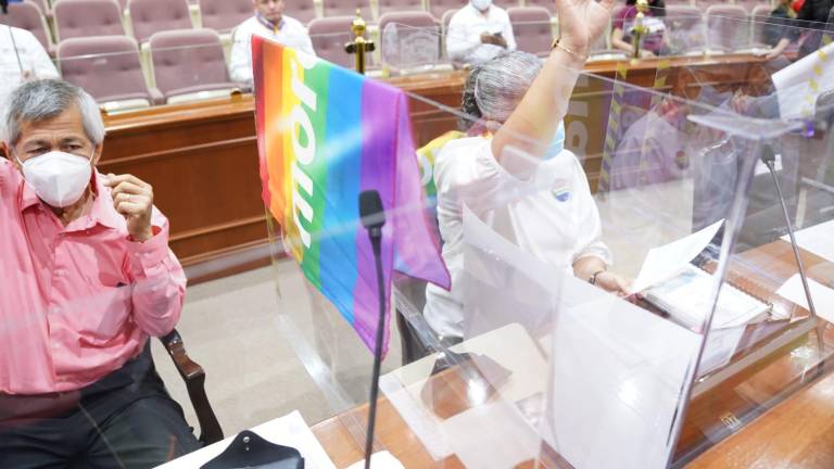 Diputados contra el matrimonio igualitario debieron asistir y externar sus opiniones en el pleno: Loza Ochoa