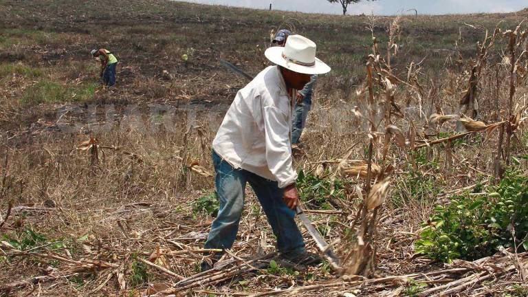 El sector social del campo pide que también tengan representación en las negociaciones.