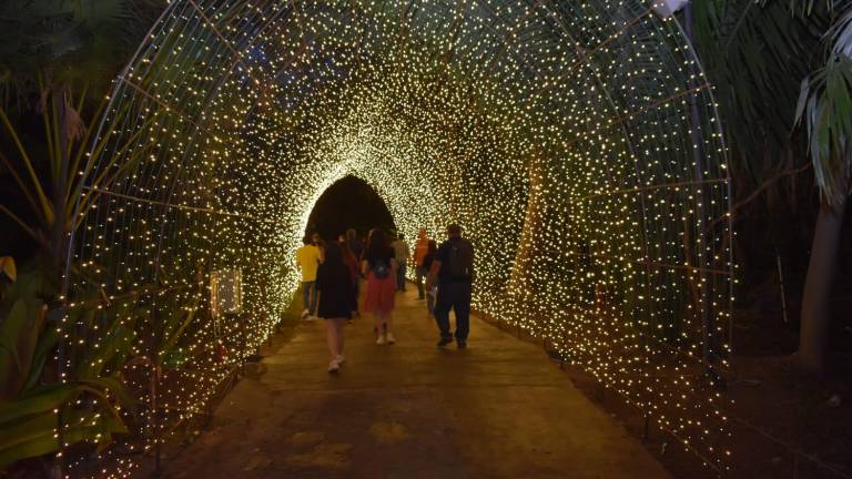 Las luces del Jardín Botánico fueron encendidas para dar la bienvenida a la Navidad en el lugar.