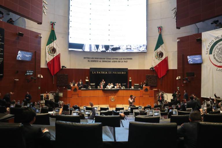 Pide Observatorio Ciudadano a INE y al TEPJF rechazar sobrerrepresentación