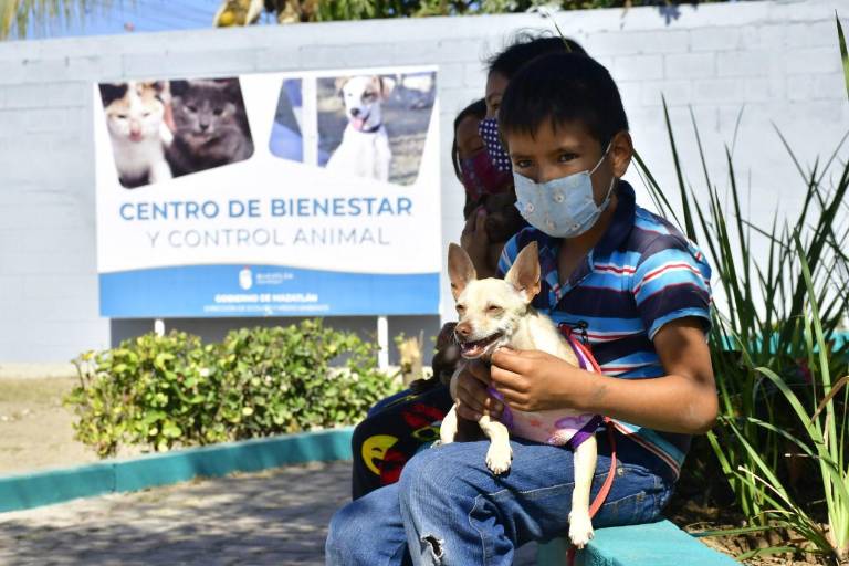 El centro para mascotas del Gobierno de Mazatlán tiene buena demanda