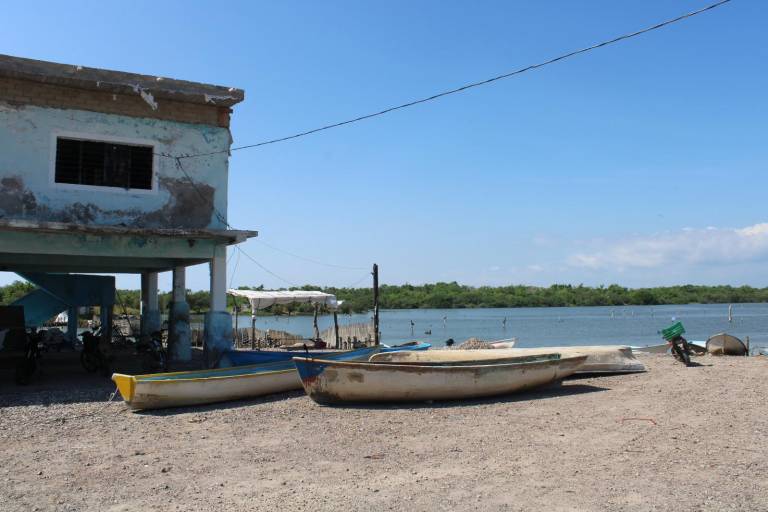 Por falta de agua dulce, pescadores desahucian temporada de camarón en Rosario