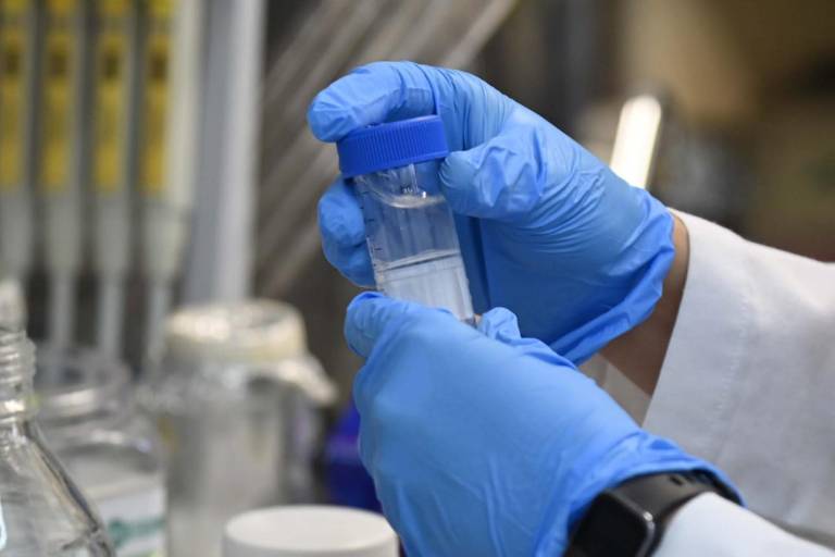 La UAS se consolida como referente científico en Sinaloa, con crecimiento del 24% en el Sistema Nacional de Investigadoras e Investigadores (SNII)