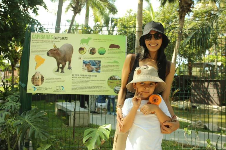Capibaras del Gran Acuario Mazatlán ya reciben visitantes