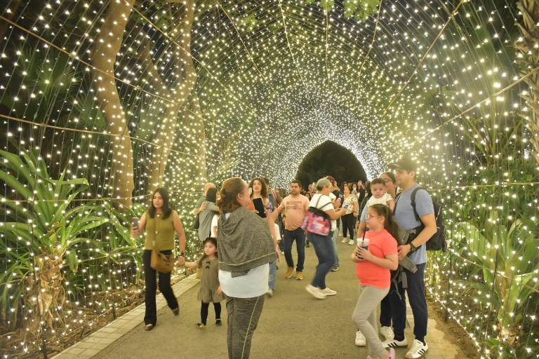 Disfrutan familias la Navidad rodeados de luz