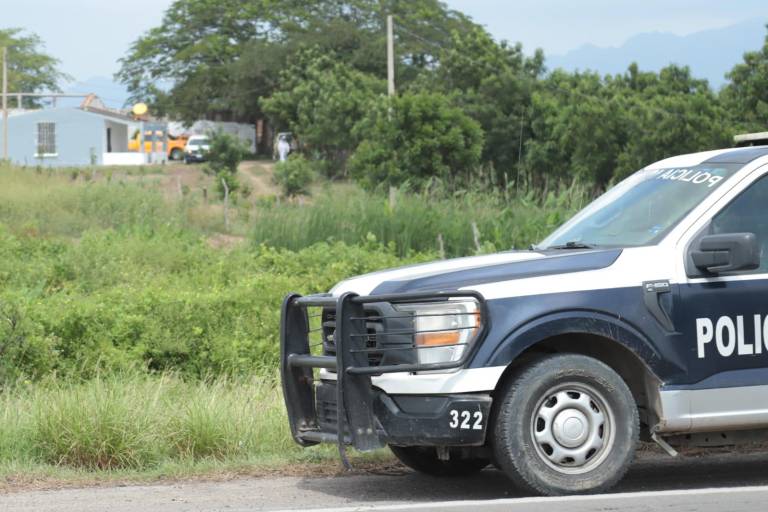 Mueren abuelo y nieto tras ataque de abejas en un rancho al sur de Mazatlán