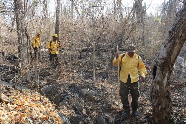 Brigada de La Rastra, guardianes siempre dispuestos a luchar contra incendios forestales