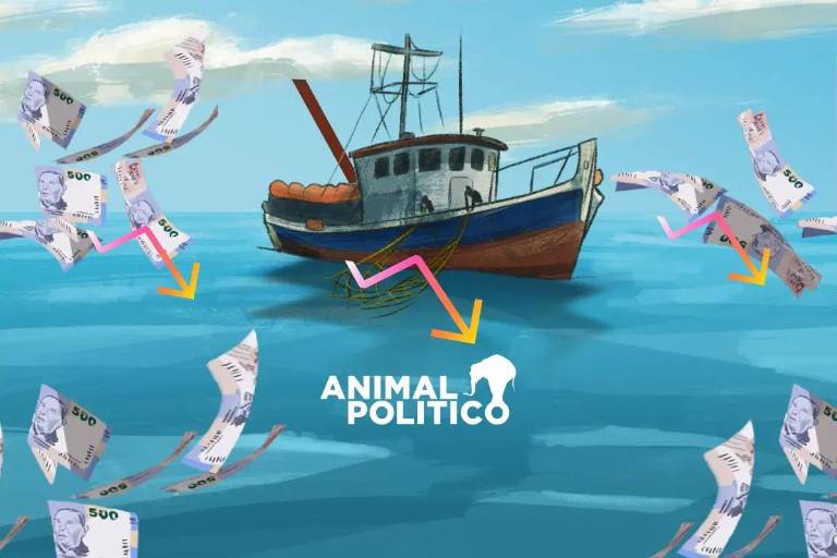 El programa Bienpesca de AMLO choca con la realidad de las comunidades pesqueras