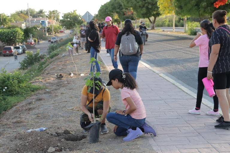 Plantan árboles para conmemorar el Día Internacional de la Biodiversidad en Rosario