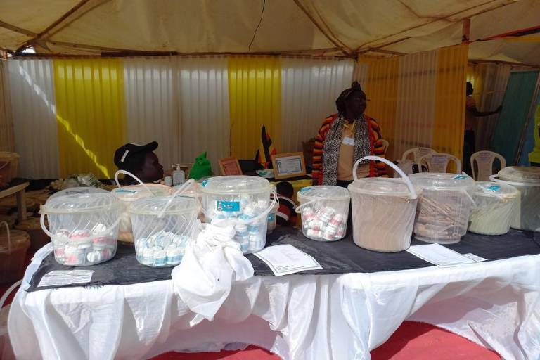 Exploran cómo aprovechar mejor el potencial de la medicina tradicional