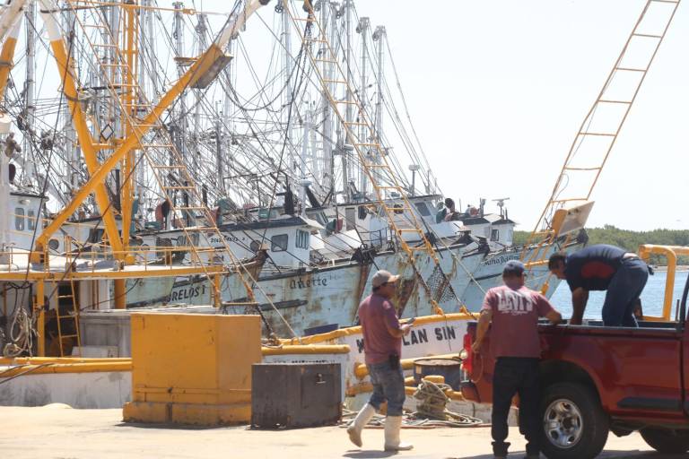 Industria camaronera de Mazatlán flota en un mar de crisis