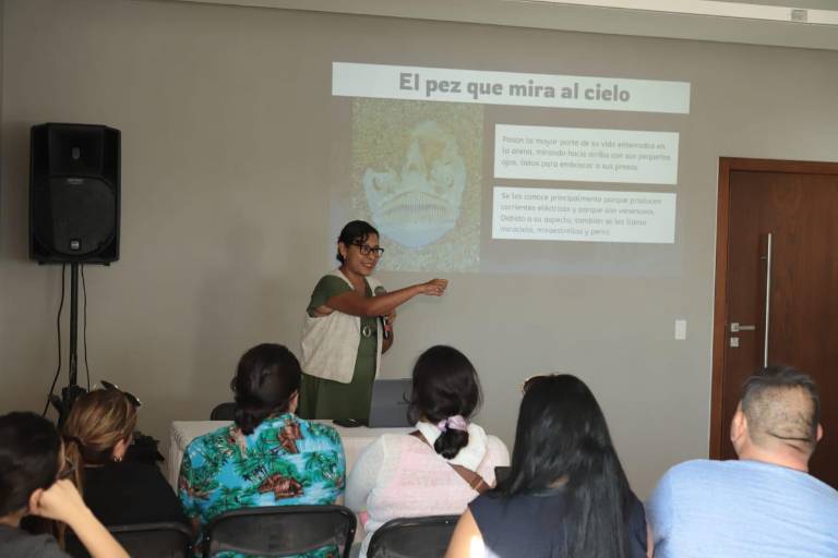 Destacan la importancia de los ecosistemas marinos en Mazatlán