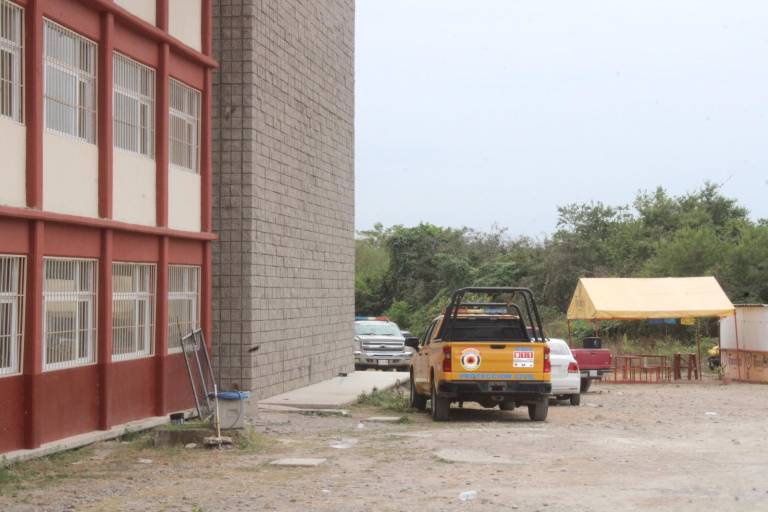 De nuevo se registra ataque de abejas en la UAdeO en Rosario