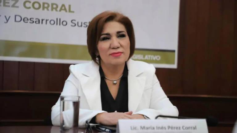 La ex Secretaria de Bienestar y Desarrollo Sustentable, María Inés Përez Corral, no descarta buscar ser candidata a la Alcaldía de Culiacán.
