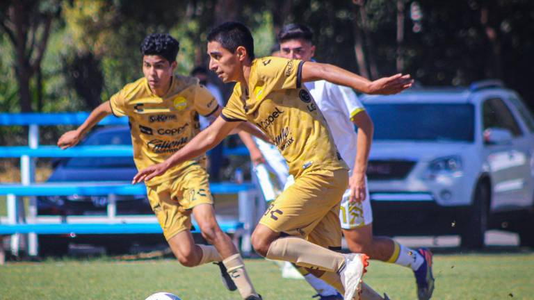 Dorados busca refrendar su título de filiales.