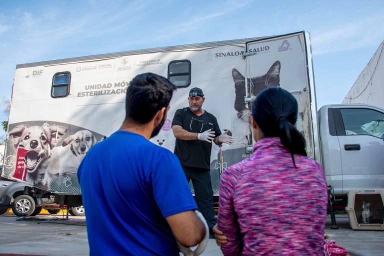 Mantiene DIF su campaña de esterilización de perros y gatos en instalaciones de El Vallado