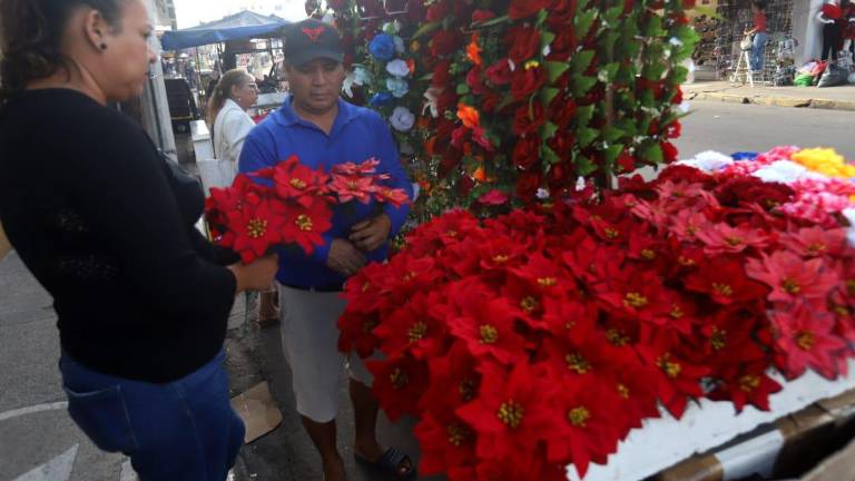 La temporada navideña ya se siente en el Centro de Mazatlán con la venta de diferentes productos para la ocasión.