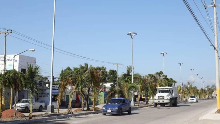 Comité de Participación Ciudadana revisará compra de luminarias en Mazatlán; de ser necesario, denunciarán ante la ASE