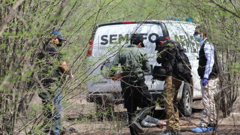 Reporta Sabuesos Guerreras hallazgo de dos cuerpos al sur de Culiacán