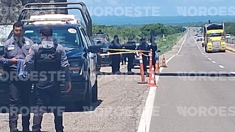 El hallazgo fue reportado debajo de un puente intravehicular ala altura del kilómetro 19 de la autopista Mazatlán-Culiacán.
