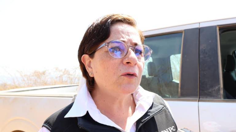 Brigada de buzos y rescatistas de USAR, Sedena y Protección Civil se prepara para ingresar a la mina Santa Fe, informó la funcionaria Laura Velázquez.