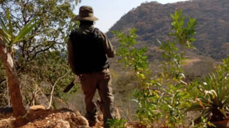Integrantes de colectivos de búsqueda participaron en el hallazgo de restos humanos en zonas de difícil acceso en Cortazar, Guanajuato.