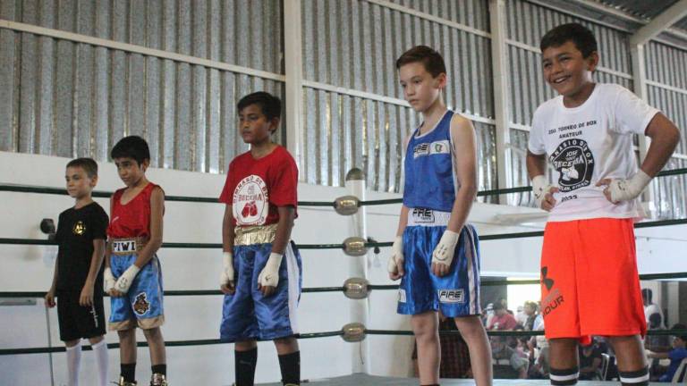 Los pequeños boxeadores listos para la acción.