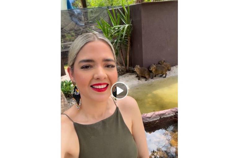 Llegan los capibaras al Gran Acuario Mazatlán